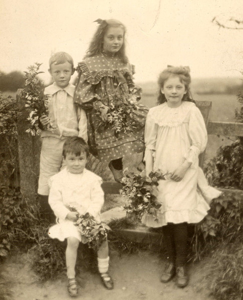 The darling buds of May, postcard, c1905